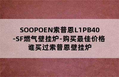 SOOPOEN索普恩L1PB40-SF燃气壁挂炉-购买最佳价格 谁买过索普恩壁挂炉